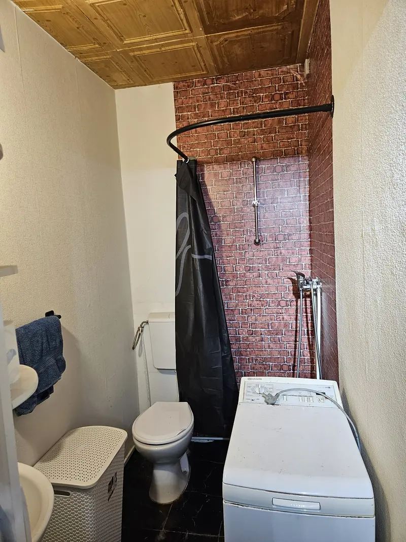 Bathroom with shower, toilet and washing machine